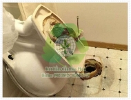 Hút hầm cầu Dầu Tiếng Bình Dương giảm giá 30%