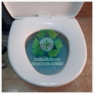 Tác hại của việc đổ nước xà phòng giặt đồ vào bồn cầu