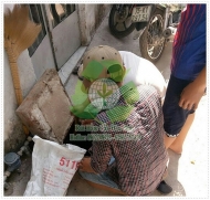   Men vi sinh hầm cầu tốt nhất hiện nay