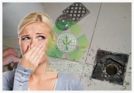 Hút hầm cầu Bàu Bàng Bình Dương giảm giá 30%