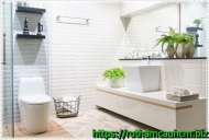 27 cách xử lý mùi hôi khó chịu trong nhà vệ sinh