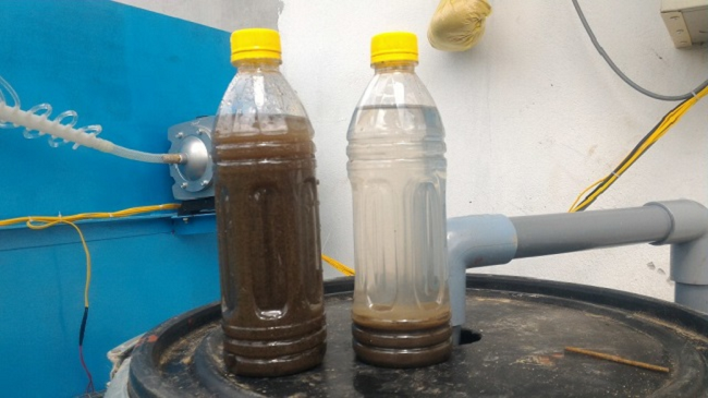 canvanchuyenbunvisinhkhivisinhvatbichetnhieu