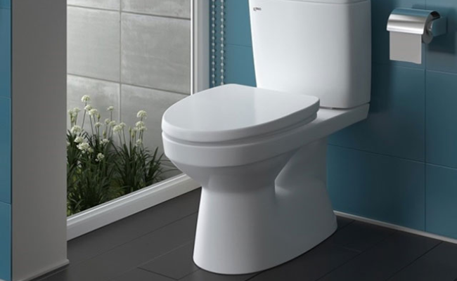 cacloaiboncauinax504phobienduocuachuonghiennay