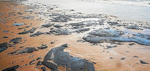 Dầu mỡ c&oacute; trong nước thải n&agrave;y ảnh hưởng trực tiếp đến &ocirc; nhiễm m&ocirc;i trường