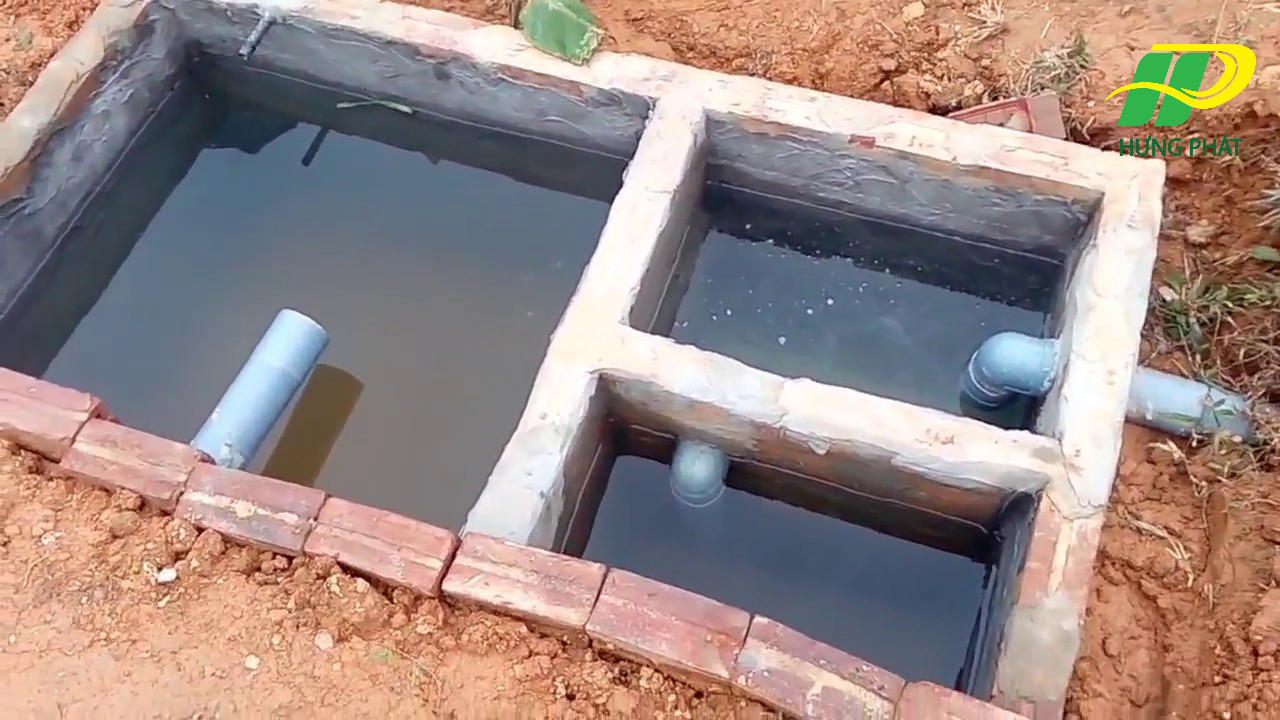 Bể phốt đầy gây ra tiếng kêu ọc ọc 