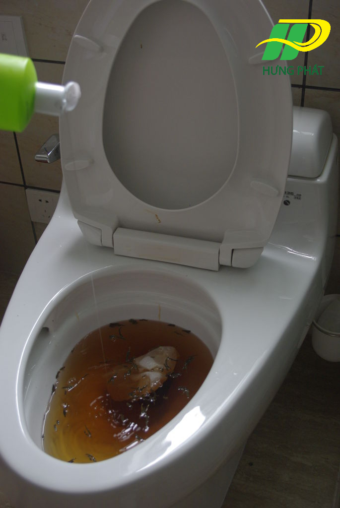 bồn cầu bị tắc do thiếu hơi