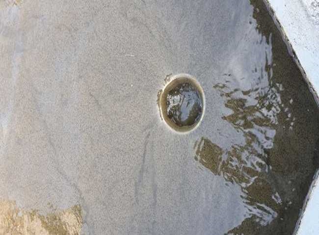 Vận chuyển b&ugrave;n vi sinh của H&ograve;a Ph&aacute;t lu&ocirc;n hoạt động 24/7