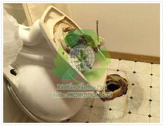 Biểu hiện của bồn cầu bị nghẹt