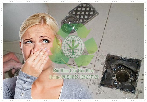 nguyên nhân cống nhà vệ sinh có mùi hôi