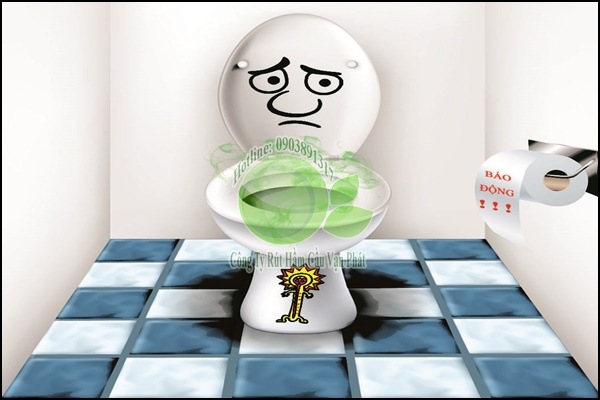 Nguyên nhân bồn cầu bị nghẹt