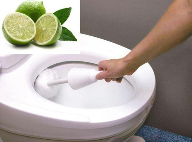 Chanh có tác dụng thần kỳ trong việc tẩy trắng bồn cầu