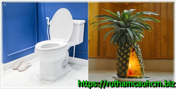 Xử lý mùi hôi bằng trái thơm.