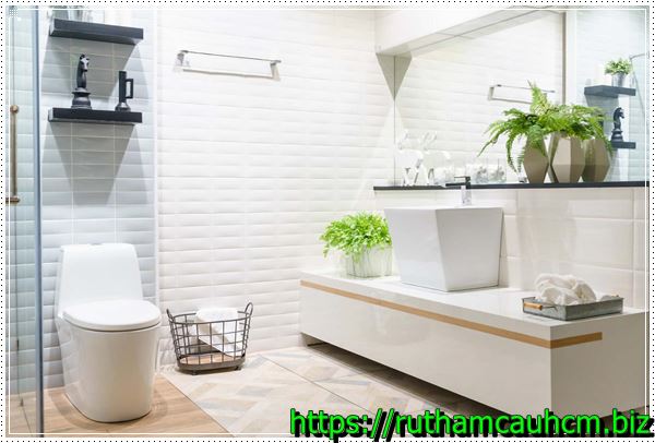 Xử lý mùi hôi nhà vệ sinh bằng cây xanh