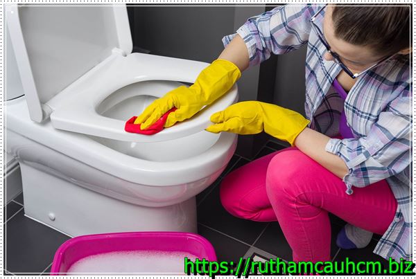 Xử lý mùi hôi nhà vệ sinh bằng cách cọ rửa bồn cầu.
